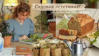 Бумажные стаканчики для рассады🏡✨ Лимонно-маковый сладкий кекс к чаю🫖🧡