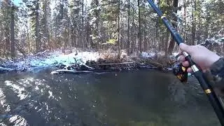 РЫБАЛКА на хариуса в МОРОЗ по заберегам и ШУГЕ / ДИКАЯ  - Таёжная РЕКА СИБИРИ!!!