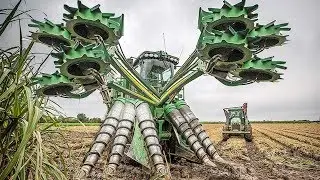 ПОДСОЛНЕЧНИК 100 с гектара