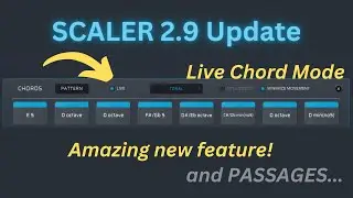 Scaler 2.9 New Update is GREAT!