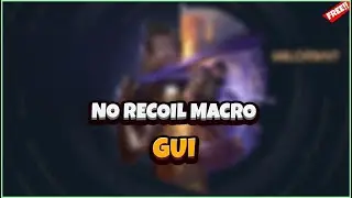Valorant Macro NO RECOIL / ALL MOUSES / TUTORIAL