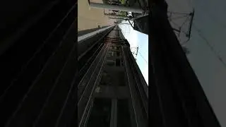 От жары мы здесь в Петербурге уже вверх тормашками!