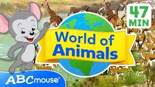 🐾 Explore the World of Animals 🌍 | 47 Minute Full Episode | Compilation for TV | ABCmouse for Kids