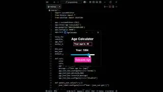 PYTHON MODERN GUI - AGE CALCULATOR #python #programming #coding #shorts