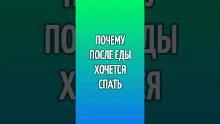 Почему после еды хочется спать.