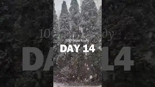 Day 14 | 100 