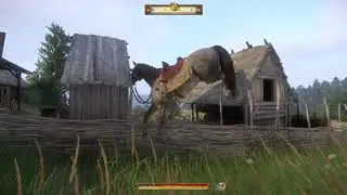 Horse Gets Stuck on Fence