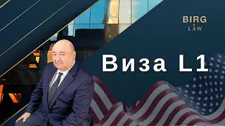 Бизнес виза в США L1 для предпринимателей и менеджеров. Как получить  L1-A Visa L1-B