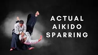 Real Aikido Sparring That WORKS