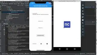 flutter splash screen