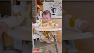 Is Mealtime a Struggle? Make It Easier with This High Chair!#Shorts