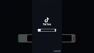 Cutties Dog in Tiktok!!