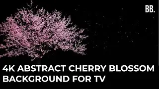 4K Oriental Cherry Blossom for Sleep with Black Background | 4K Black Screensaver for 4K TV, LG, PC