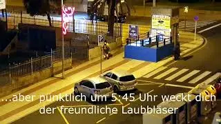 Der Laubbläser auf Teneriffa