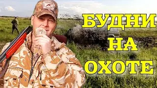 УТИНАЯ ОХОТА КАК ОНА ПРОХОДИТ НА САМОМ ДЕЛЕ #ru_kompass #hunting #охота