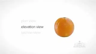 Plan view (vs) elevation view (vs) section view