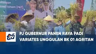 PJ GUBERNUR PANEN RAYA PADI VARIATES UNGGULAN BK 01 AGRITAN