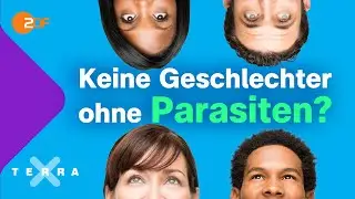 Wie Parasiten unser Leben beeinflussen | Terra X plus