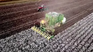 Fall Cotton Stripping from a drone's perspective