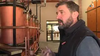 Tarn : découvrez comment est produit le whisky Vilanova, médaille d'or au salon de l'agriculture