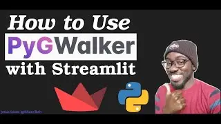 How to Use PyGWalker with Streamlit