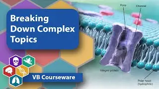 Visible Body | Breaking Down Complex Topics with VB Courseware