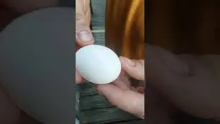 Egg breaking challenge completed (on top of the mountain)