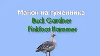 Манок на гумменика Pinkfoot Hammer