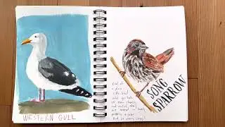 Bird Sketchbook Tour