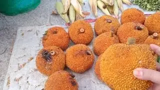 Blusukan Dipasar banyak Buah langka langsung Borong ||  Daily Vlog Mommie NK || Berpetualang