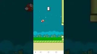 Just some average Flappy Bird vertical gameplay