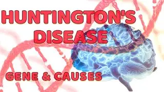 Huntington's Disease - Gene and Cause | Chromosome 4 | Mental Retardation