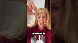 Помогите 🆘😱 Что делать с этим? Больше о  бабочках в ТГ:Nina Wina #бабочки #бабочка #насекомые