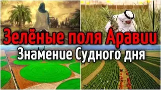 Зелёные поля в Саудовской Аравии 2021 | Чудо пустыни, цветущая пустыня, изменение климата