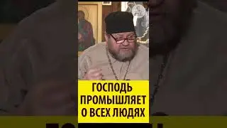 ГОСПОДЬ ПРОМЫШЛЯЕТ О ВСЕХ ЛЮДЯХ ! Священник Олег Стеняев