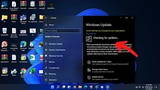 How to fix Update error 0x8007000d in Windows 11/10