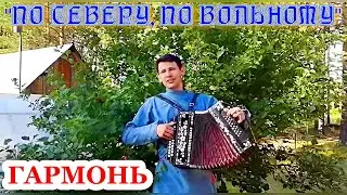 "По северу, по вольному" песня под гармонь. Поёт Александр Федосеев г. Тула.