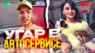 СТАЯ ЗАЛЕТЕЛА ЗАТОНИРОВАТЬ СВОИХ ЗВЕРЕЙ В КРАСНОДАРЕ !😈