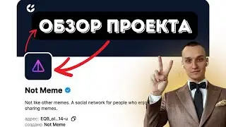 Not Meme - розыгрыш, хейт, токен. Обзор экосистемы TON