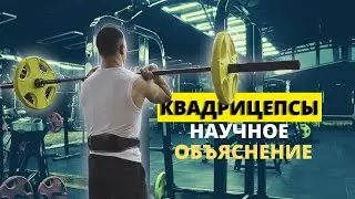 Как накачать КВАДРИЦЕПСЫ /  Самый научный способ тренировки