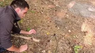 Добыча огня в лесу без спичек