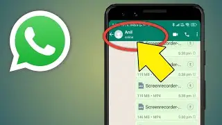 Whatsapp Par Online Na Dikhe | Whatsapp Ma Online Na Dikhe