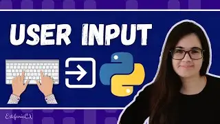 User Input in Python - How to Take Input in your Python Programs