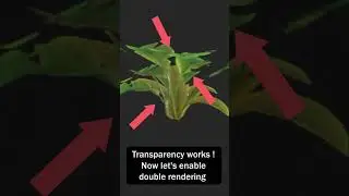 How to enable transparency in Marmoset Toolbag 4 #3d #3dtutorial #marmoset #transparency #gameart