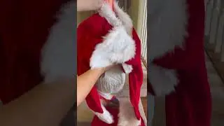 i threw santa out of the window! (Christmas DIY)