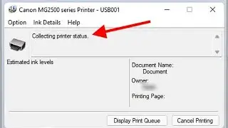 [Fixed] Collecting Printer Status Error