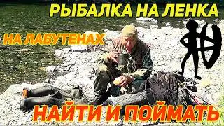 РЫБАЛКА НА ЛЕНКА НА ЛАБУТЕНАХ. НАЙТИ И ПОЙМАТЬ.  С ДНЁМ РЫБАКА!