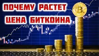 Почему растет цена Биткоина. Какая реальная ценность криптовалюты Bitcoin