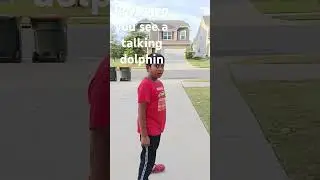 Talking dolphin