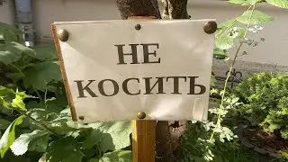 "Не коси!" Секретный способ включать дурака, разработанный древними рептилоидами"